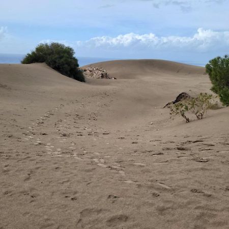 Patara Bungalov Houses 1 كاس المظهر الخارجي الصورة