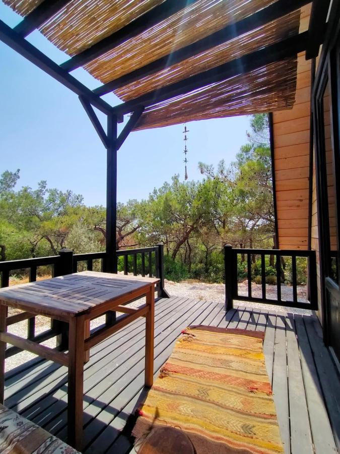 Patara Bungalov Houses 1 كاس المظهر الخارجي الصورة